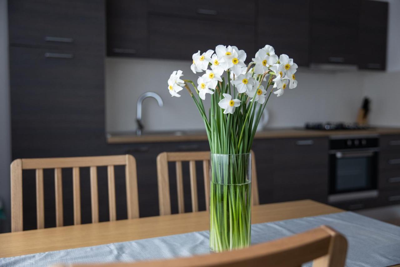 Apartman Ena ビェロヴァル エクステリア 写真